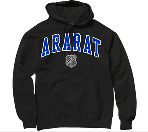 ARARAT  2024 oversize print design black color hoodie