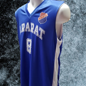 BASKETBALL JERSEY (TOP ONLY) VERSION #2